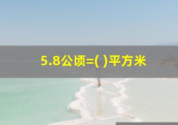 5.8公顷=( )平方米